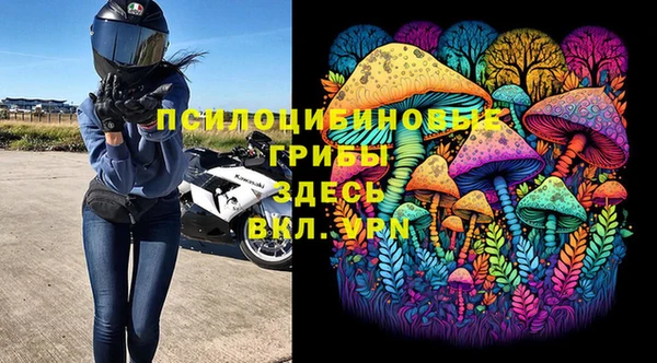 прущие грибы Бугульма